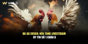 Đá Gà Sv388: Nền Tảng Livestream Uy Tín Số 1 Châu Á