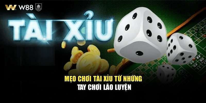 Mẹo chơi tài xỉu từ những tay chơi lão luyện
